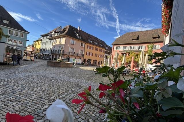 Brgermeisterwahl in Staufen wird angefochten: Benjamin Brcker tritt Amt zunchst nicht an