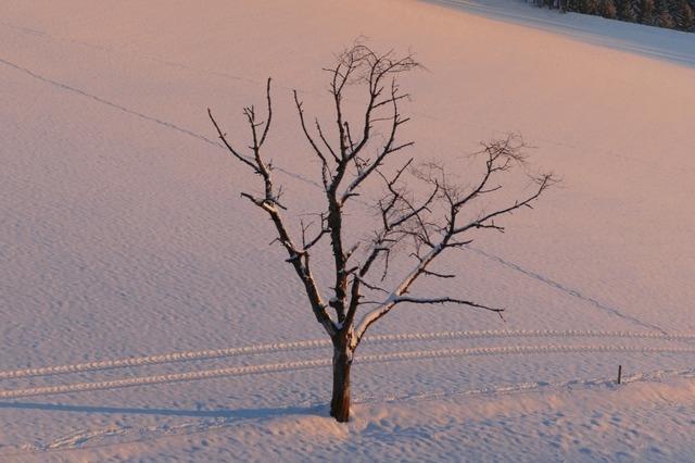 Fotos: Das sind die schnsten Schneefotos unserer Leserinnen und Leser