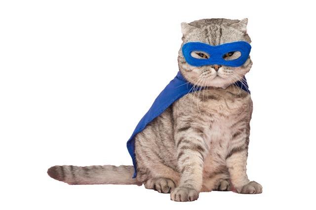 Sozialer dank Batman