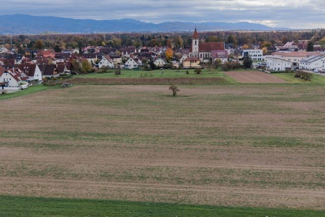Landwirte schlagen Alarm wegen hherer Pacht in Reute