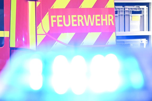 Mehr als 930 Stunden ehrenamtliche Arb...vergangene Jahr der Feuerwehr Wembach.  | Foto: Bernd Weibrod (dpa)