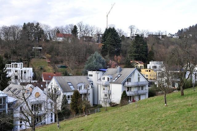 Eine Leichtverletzte nach Zimmerbrand in Freiburg-Herdern