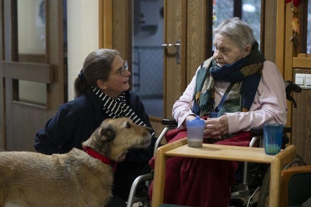 DRK-Kreisverband Mllheim erfreut Senioren mit seinen Besuchshunden und sucht am Projekt Interessierte