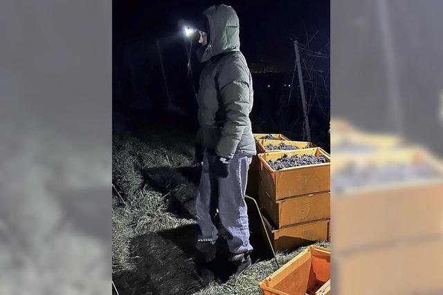 Geburtstagsfeier mit vielen Gsten