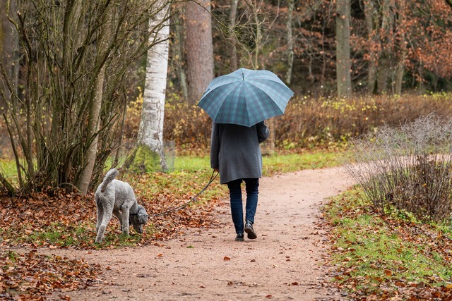 Ein Spaziergang ist ein gutes Mittel gegen Stress. (Symbolbild)  | Foto: Silas Stein/dpa