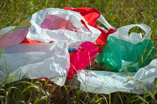 Umweltschützer fordern schärferes Plastiktüten-Verbot