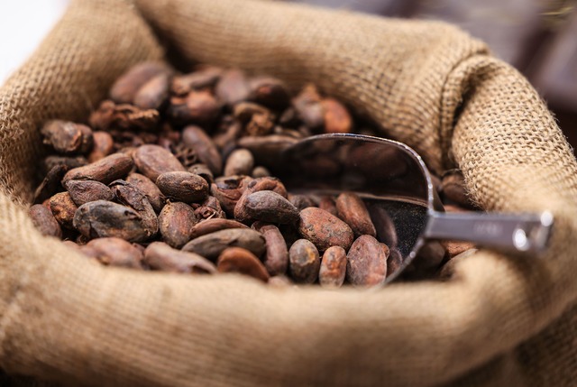 Teure Kakao-Importe sorgen f&uuml;r hohe Schokoladenpreise.  | Foto: Oliver Berg/dpa