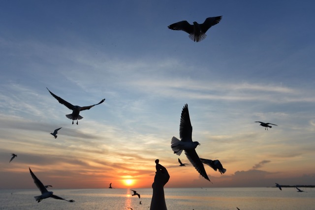 Sonnige Reiseziele sind laut Dertour besonders gefragt. (Archivbild)  | Foto: Rachen Sageamsak/XinHua/dpa