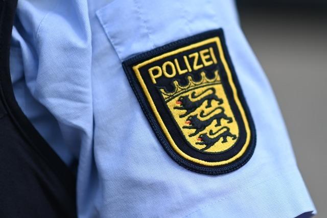 Ein Autofahrer bersieht einen Hund auf dem Zebrastreifen und berfhrt ihn