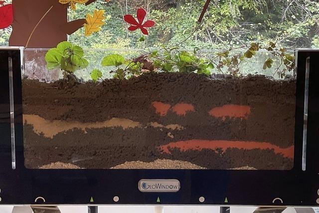 Ein Hotel fr die Regenwrmer