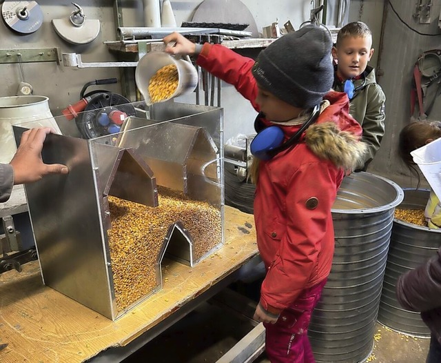 Getrockneter Mais wird in eine Lagerbox gefllt.  | Foto: Nadine Balzer