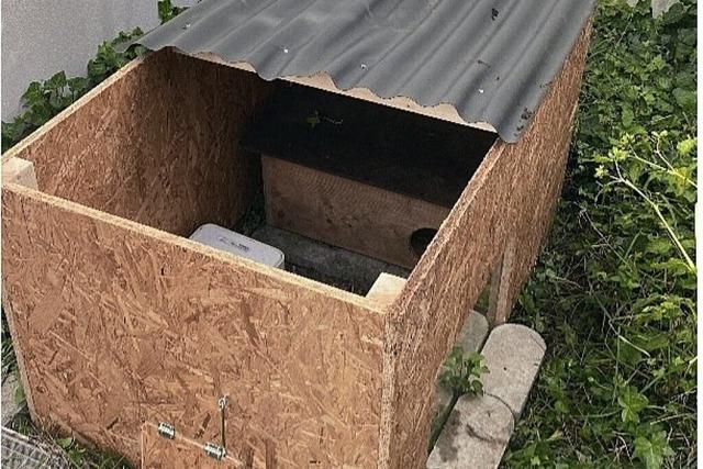 Ein Winterquartier fr Samson