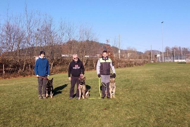 Wenn Hunde gemeinsam toben, verbindet das auch Generationen