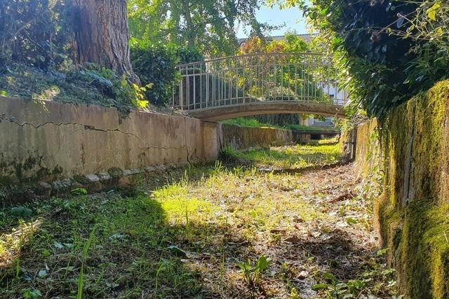 Umstrittene Plne frs Schopfheimer Wuhr: Womglich braucht es ein aufwndiges Rechtsverfahren