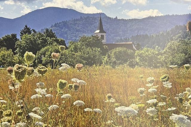 Lokale Motive fr den guten Zwecke: Jubilumsausgabe des Kalenders der BI Umweltschutz Staufen