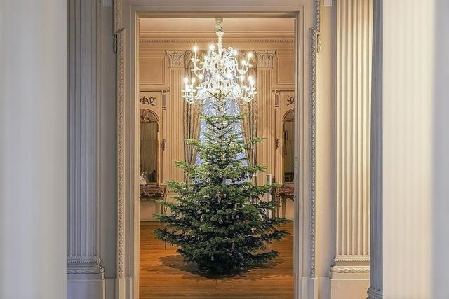 Im Haus zum Kirschgarten sorgen 15 Tannenbume fr eine festliche Stimmung. Dazu gibt es ein vielfltiges Veranstaltungsangebot und Fhrungen.