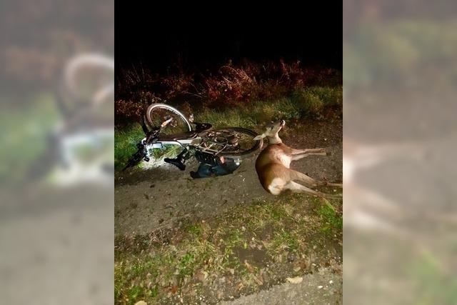E-Biker verletzt sich bei Unfall mit einem Reh in March schwer - Helm bewahrt ihn vor Schlimmerem