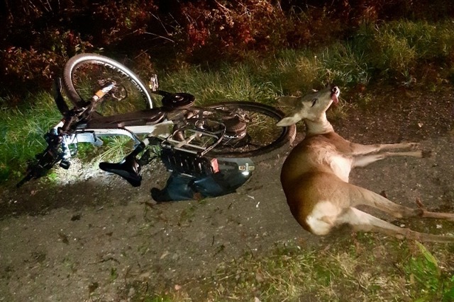 Reinhard Schneider ist auf dem Heimweg...chheim mit einem Reh zusammengestoen.  | Foto: Privat