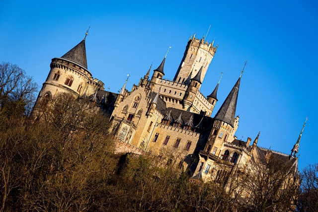 Wurde f&ouml;rmlich &uuml;berrannt: Sc... Marienburg s&uuml;dlich von Hannover.  | Foto: Moritz Frankenberg/dpa