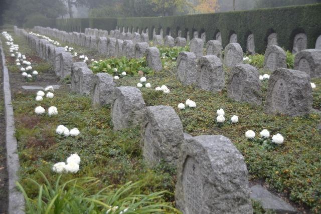 Vielerorts hat die AfD zum Volkstrauertag  einen Kranz abgelegt, so auch in Offenburg: Die Stadt  lie ihn entfernen