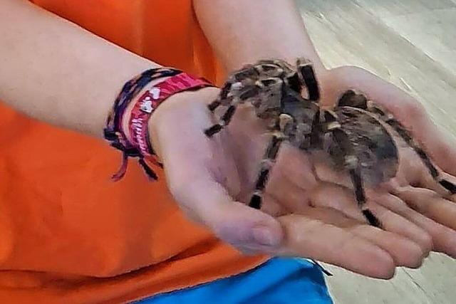 Ein Patenkind mit acht weichen Beinen