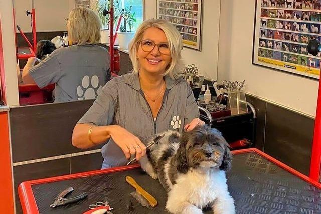 Hundefrisrin Susanne Stock: 