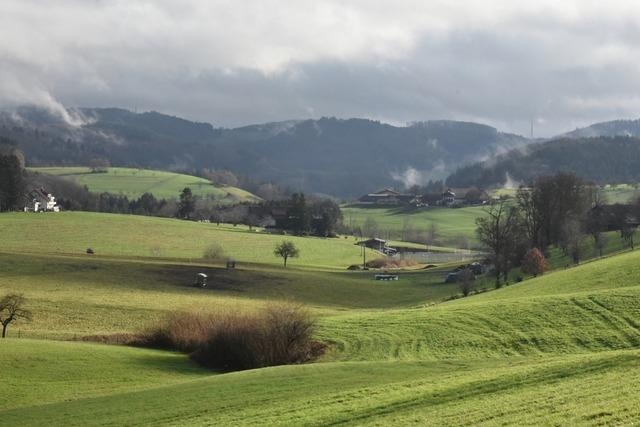 Freiamt plant umfangreiche Sanierungen trotz knapper Kasse