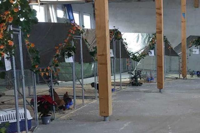 Geflgelausstellung in Weil am Rhein mit einem naturnahen Konzept