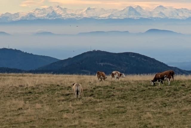 Das Biosphrengebiet Schwarzwald hat mit Florian Kbler einen neuen Chef