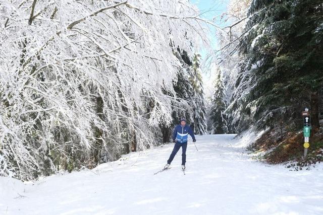 Auf dem Lipple sind die Langlaufloipen gespurt