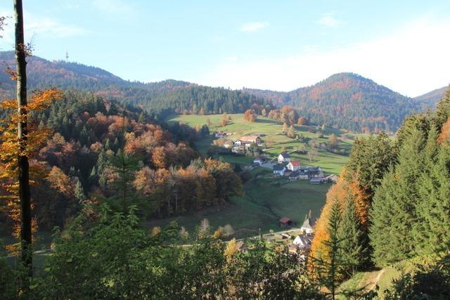 Malsburg-Marzell knnte von den meisten Windrdern umgeben sein