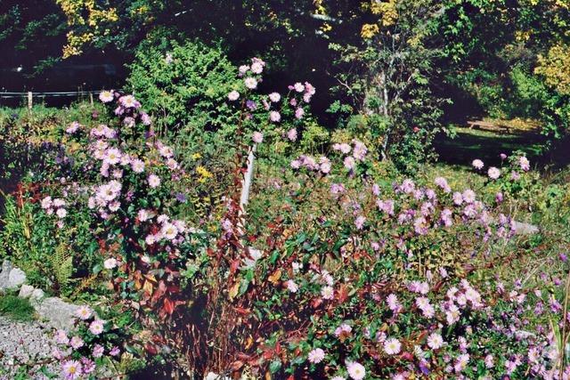 Zell will neue Richtlinien fr Verpachtung stdtischer Gartengrundstcke einfhren