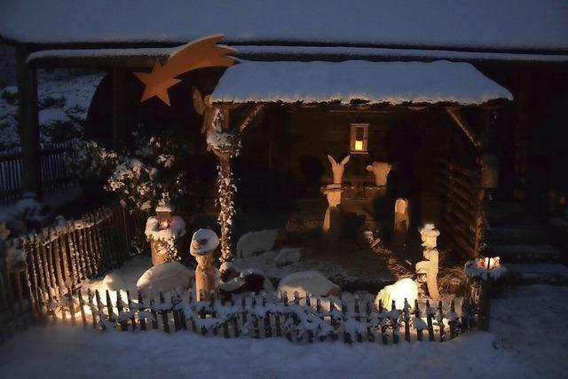 Die Waldkrippe leuchtet wieder