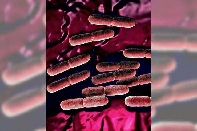 Sollte ich mein Vaginom testen?