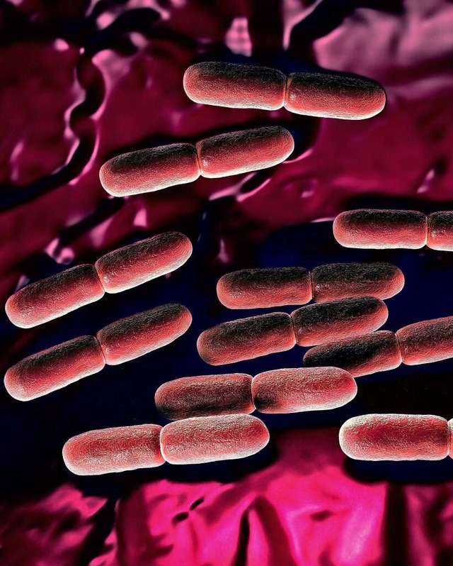 Gesunde Verhältnisse: Laktobazillen ge...der Vaginalschleimhaut niedrig halten. | Foto: IMAGO/Peddalanka/Ramesh Gesunde Verhältnisse: Laktobazillen ge...der Vaginalschleimhaut niedrig halten. | Foto: IMAGO/Peddalanka/Ramesh