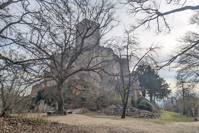 Burg Rtteln  | Foto: Katharina Kubon