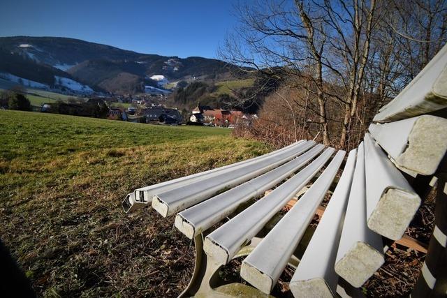 Streit im Gemeinderat wegen weiterer Prfungen im Oberrieder Baugebiet Vrlinsbach-Steiertenhof
