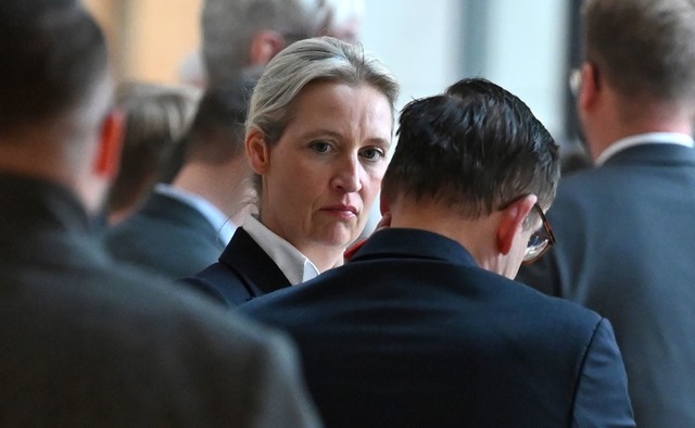 AfD-Chefin Weidel warnt vor Gewalt gegen AfD-Mitglieder.  | Foto: Elisa Schu/dpa