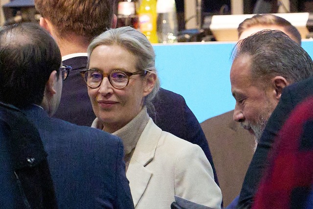 AfD-Chefin Alice Weidel: Die neue AfD-...rganisation soll "Kaderschmiede" sein.  | Foto: Thomas Frey/dpa