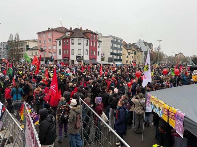 Mehrere Tausend Demonstranten protesti...grndung einer AfD-Jugendorganisation.  | Foto: Michael Brandt (dpa)