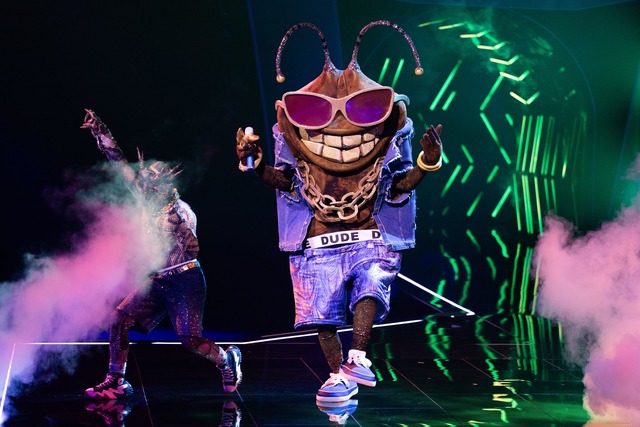 Die Stinkwanze "Dude" ist bei der ProS..."The Masked Singer" raus. (Archivbild)  | Foto: Rolf Vennenbernd/dpa