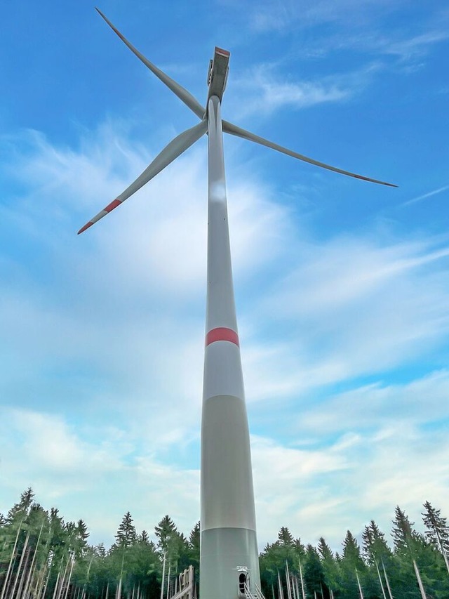 Die Delegation aus dem Oberen Schlcht...indkraft Schonach-Windpark Falkenhhe.  | Foto: Wilfried Dieckmann