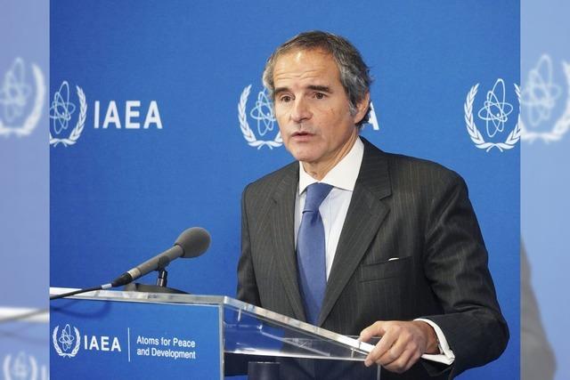 Grossi will Vereinte Nationen wieder 