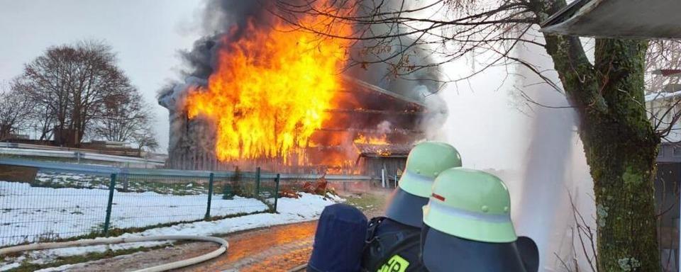 Brand zerstrt Hhnerstall mit 4500 Tieren in Dachsberg
