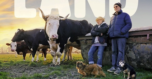   | Foto: Marc Pierschel