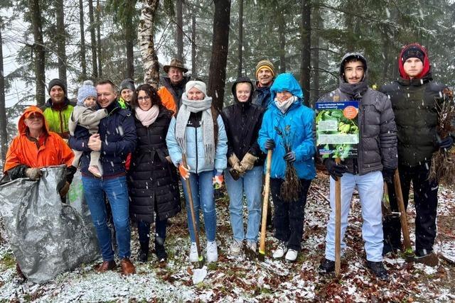 Im Windener Gemeindewald drcken niedrige Holzpreise den Erls