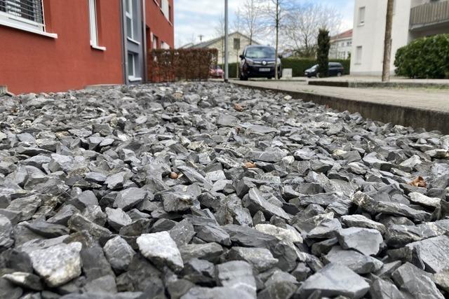 So knnte Bad Krozingen zur "Schwammstadt" werden