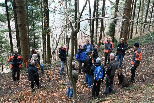 Rundgang mit dem Frster: Die Sexauer Gemeinderte erkunden den Wald