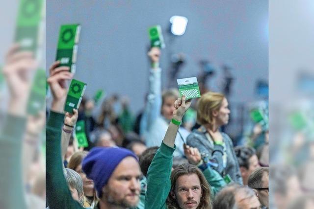 Grne wollen Pflicht zur Musterung
