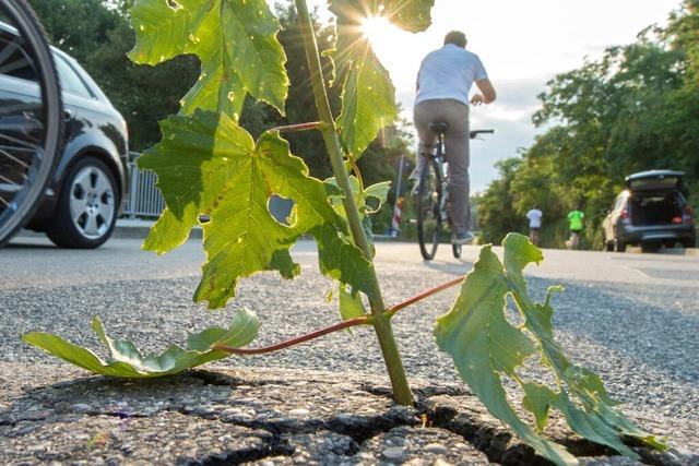 Landkreis Lrrach investiert ber zwei Millionen Euro in die Sanierung von Kreisstraen und Brcken